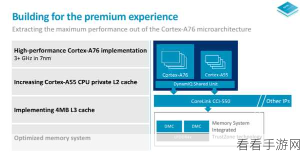 ARM7与CORTEX内核wanlix系统源码揭秘，开发者盛宴还是技术挑战？