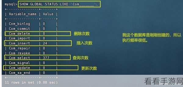 手游开发者必看，MySQL数据库性能优化实战，揭秘慢查询与执行计划