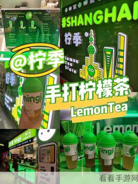 手游界新星，Lemon POS助力中小企业手游销售爆发