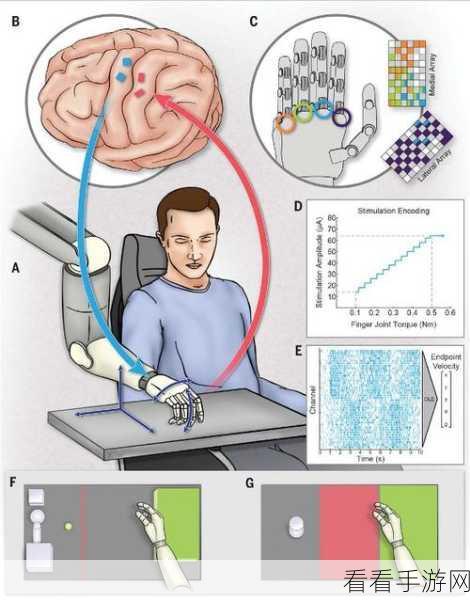 手游革命？活体神经元植入式脑机接口技术揭秘
