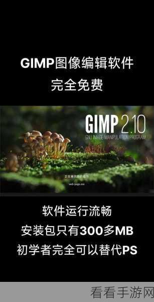 GIMP手游设计神器，Linux平台下的图像编辑大赛揭秘