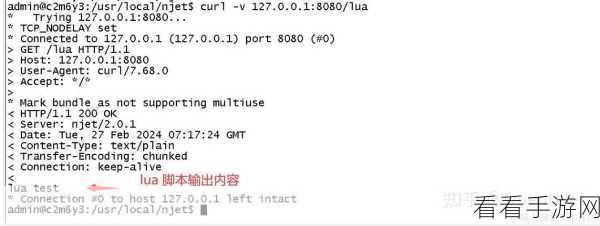 手游开发新纪元，Node-Lua引擎引领Lua脚本革命