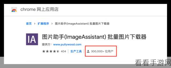 手游玩家必备神器，ImageAssistant插件全解析及实战应用