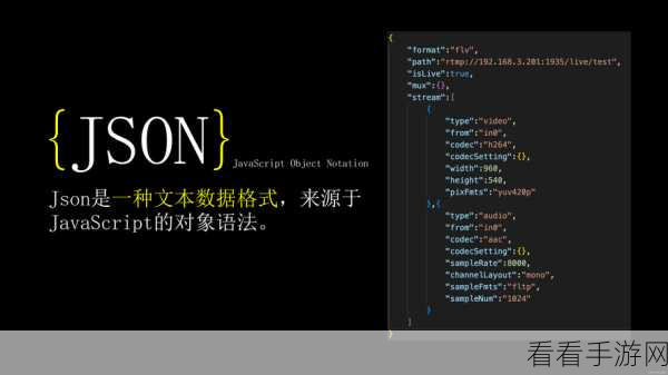 手游开发新宠，轻量级JSON库如何助力高效解析与内存管理？