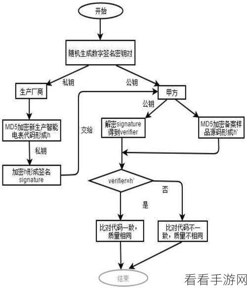 RSA签名实战指南，揭秘填充模式的选择艺术