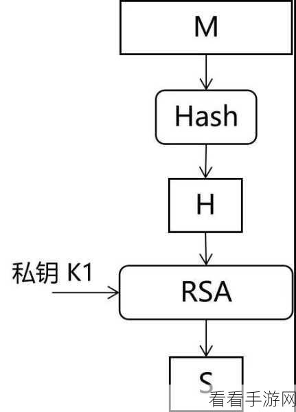 RSA签名实战指南，揭秘填充模式的选择艺术