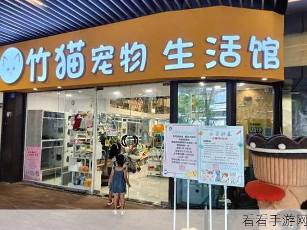 小森生活宠物店探秘，解锁宠物养护新乐趣！