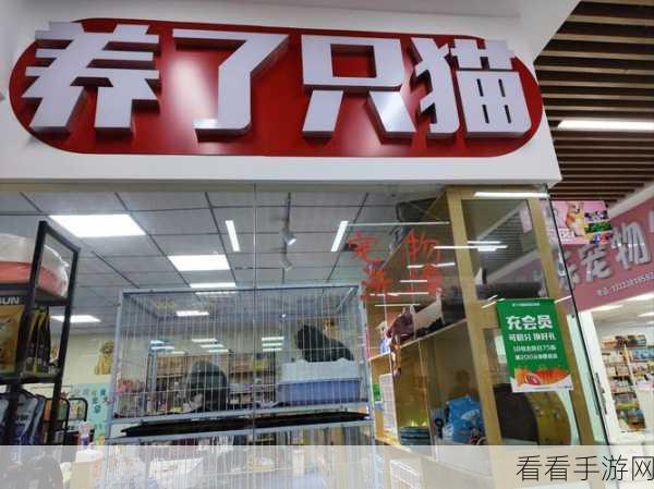 小森生活宠物店探秘，解锁宠物养护新乐趣！