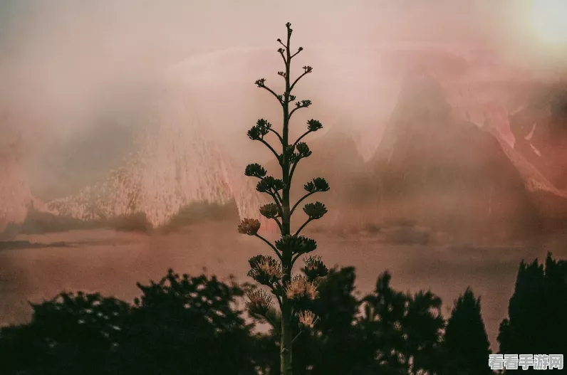 花亦山心之月，揭秘寻师求艺副本的奇幻之旅