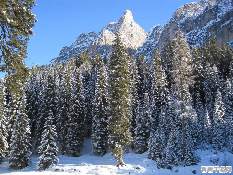 妄想山海北山探秘，雪鲸神秘现身，引发玩家狂热追寻