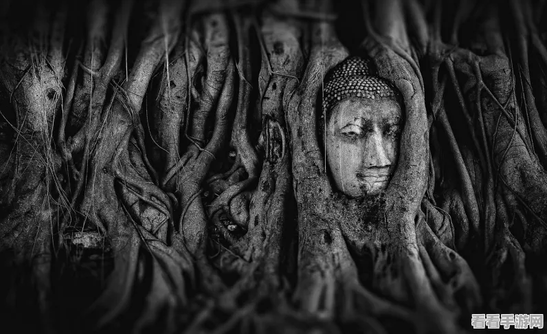 泰拉瑞亚珠宝师NPC揭秘，探索神秘珠宝背后的传奇故事与制作大赛