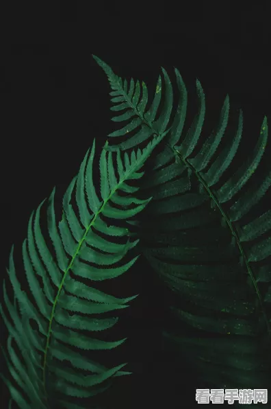 塔瑞斯世界生活技能大揭秘，最佳选择指南