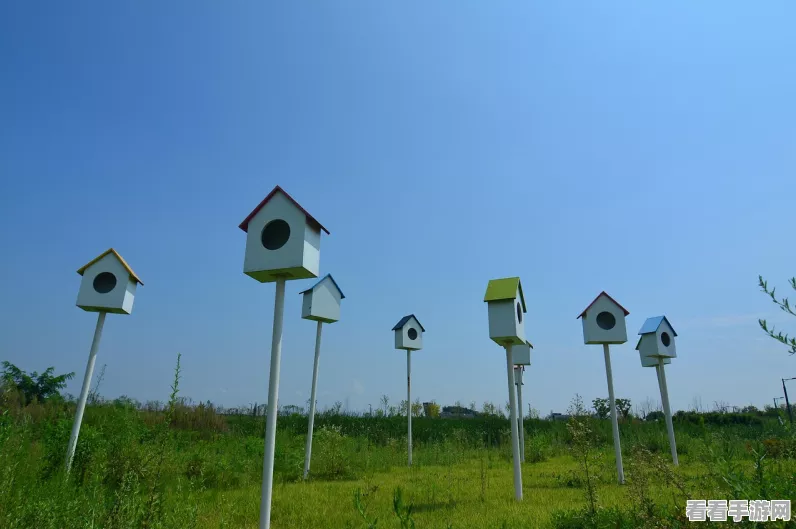 住宅梦物语，长椅隐藏功能与邻里成婚秘籍