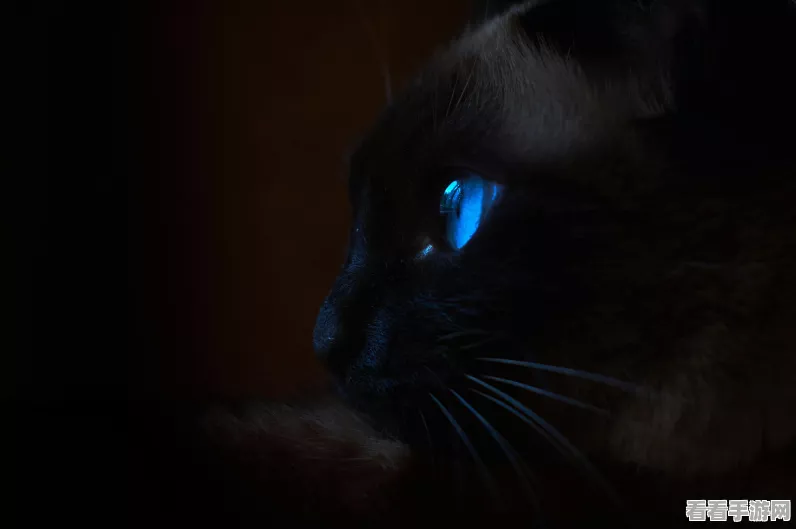 萌宠猫咪陪你垂钓！喵咪钓鱼大师游戏下载及玩法详解