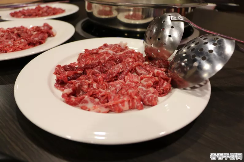 手游攻略，食物语川味火锅阵容搭配全解析，打造顶级美食战队！