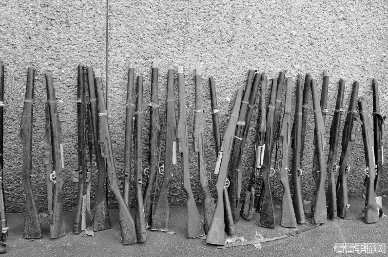尘白禁区，钢之白桦林武器深度解析与实战运用