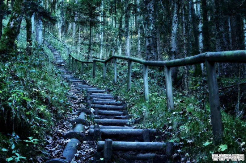 原神蒲公英速采攻略，高效路线与热门地点大揭秘