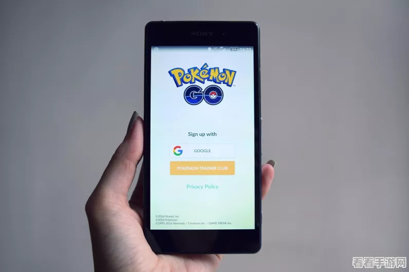 口袋妖怪Pokemmo丰源地区深度攻略，解锁隐藏挑战与稀有宝可梦捕捉秘籍