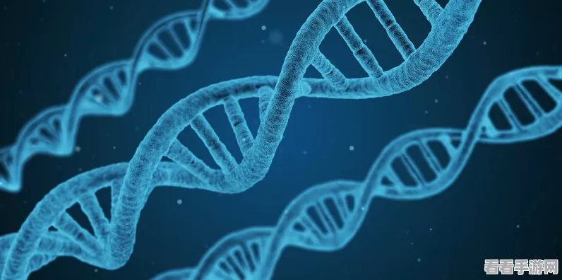 口袋奇兵，建筑合成秘籍大公开，速升等级与效率的双赢攻略
