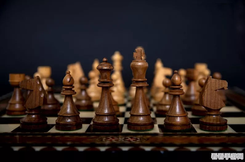 咸鱼之王咸将塔42-8深度通关秘籍，顶尖阵容搭配与实战技巧全揭秘