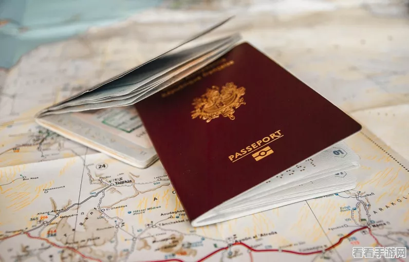 边境之旅，揭秘填箱子性价比，助你高效旅行！