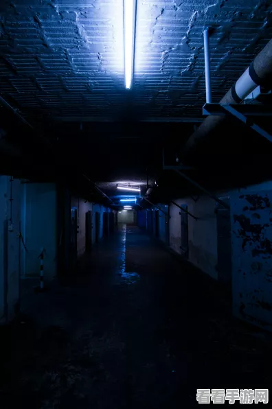揭秘光遇暮土光翼全隐藏位置，高手进阶攻略