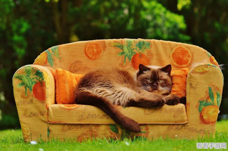 招财猫舍，萌宠合成养成，打造专属猫咪乐园！
