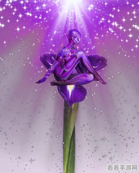 霜冻之花揭秘，探索创造与魔法中的神秘力量与实战应用