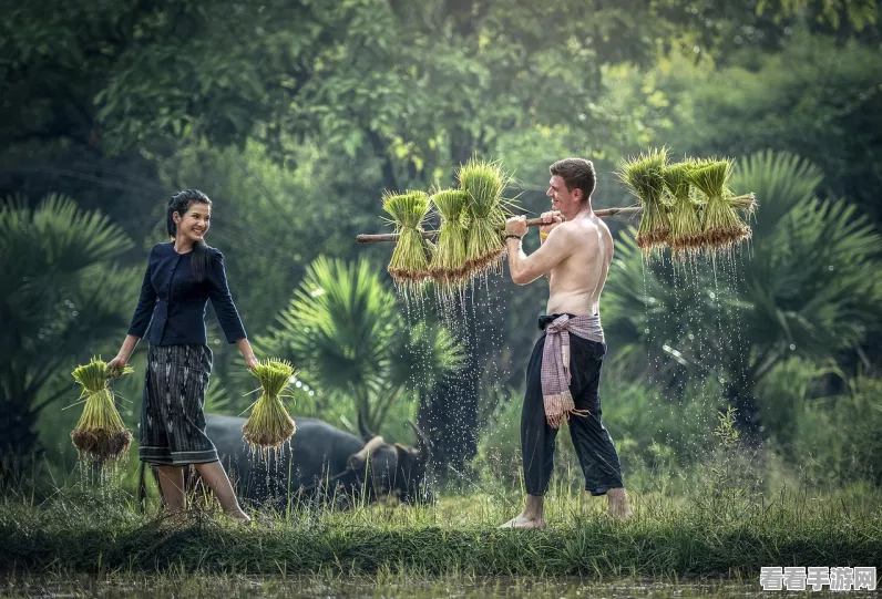 种菜大师下载最新版本_非常好玩的种菜挑战类型的游戏
