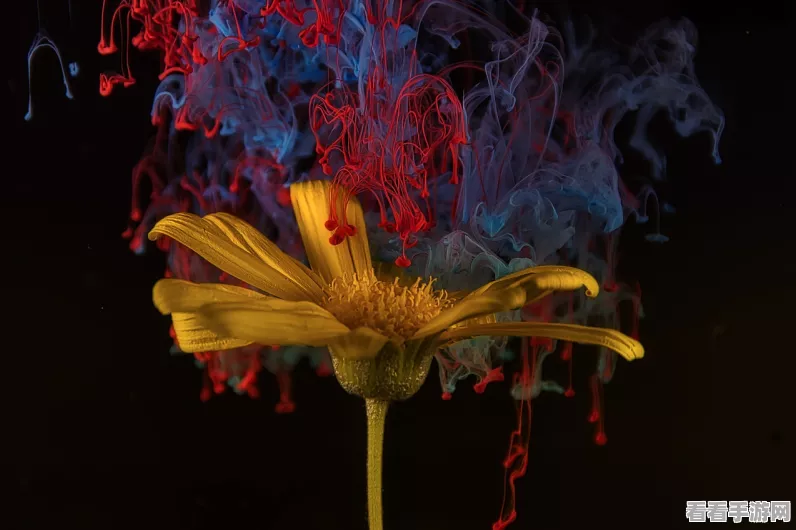 阴阳师花彩庆宵灯谜大会，全答案揭秘，智慧与趣味的极致碰撞