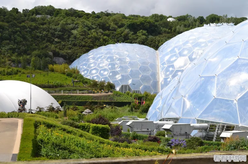 探秘我的世界奇妙生物，美西螈全解析及生存挑战攻略