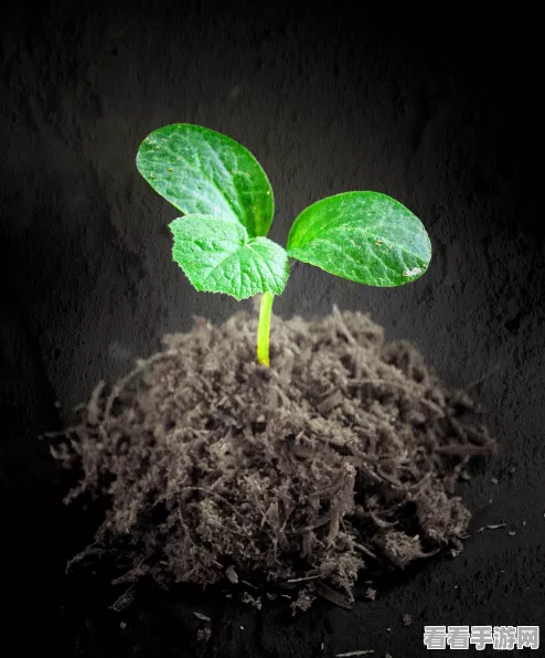 探索卡通奇境！托卡实验室植物萌趣上线，打造专属植物乐园