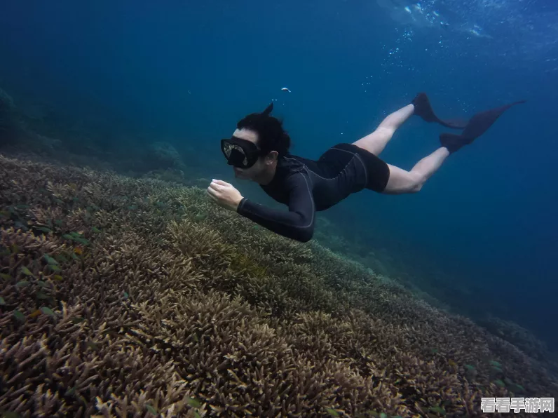元梦之星极速飞车新地图狂鲨水世界震撼上线，海底冒险赛道等你来征服！