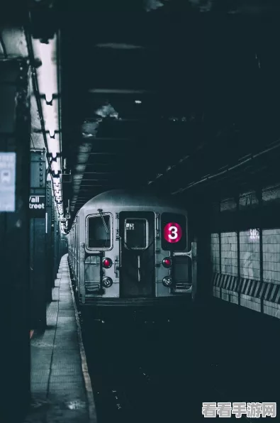地铁逃生五图黑市深度揭秘，揭秘手游中高风险高回报的隐秘交易世界