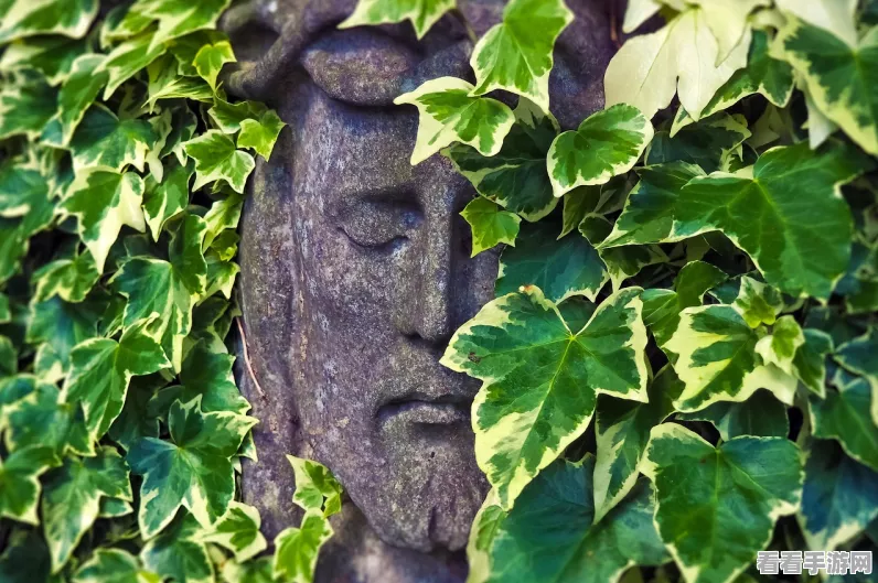 植物大战僵尸全明星，大墓地挑战装扮碎片全攻略