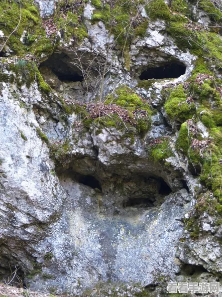 原神层岩巨渊紫色石头破除秘籍，解锁隐藏秘境，探险家实战攻略