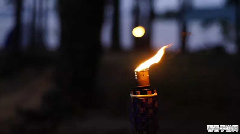 原神沙漠火炬点燃攻略，揭秘舍身步道透明蓝色火把点亮技巧
