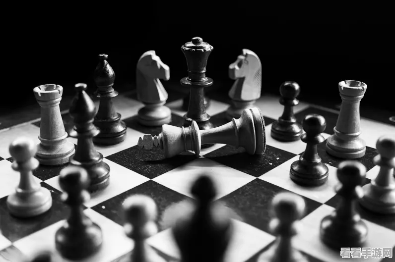 中国象棋棋子全解析，布局策略与棋子种类深度探讨