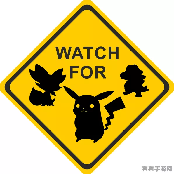 口袋妖怪黑白，全面攻略解析与必胜技巧
