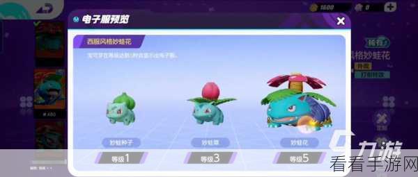 宝可梦大集结,段位等级与继承规则全揭秘,实战细节大放送!