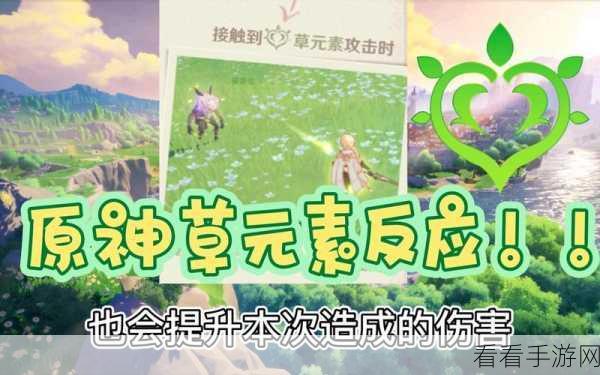 原神手游,草元素反应新手必备的通关秘籍