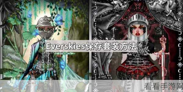 Everskies 套装保存秘籍大揭秘