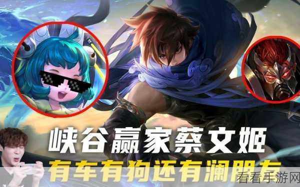 探秘蔡文姬获取之道,购买秘籍大公开