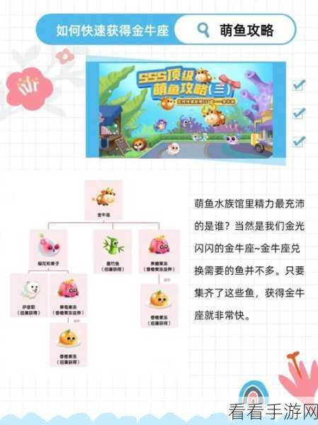 萌鱼泡泡扭蛋机秘籍,金币流称霸指南
