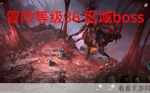 龙息神寂,博学者维迪米尔技能与阵营选择全解析