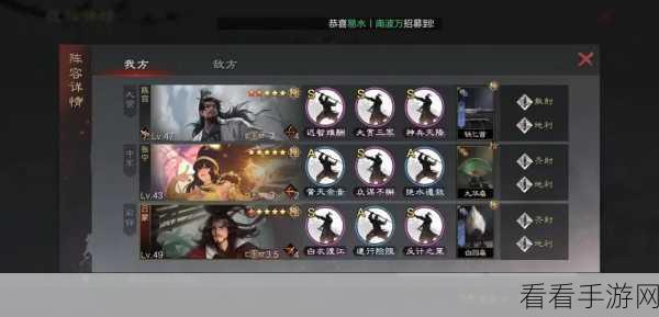 船长皮肤盛宴,全方位大赏与极致手感剖析