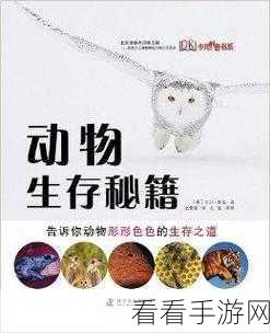 创意无限,打造专属你的狗熊游戏 ID 秘籍