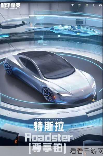 和平精英特斯拉追加攻略,保护追加与普通追加的致胜抉择