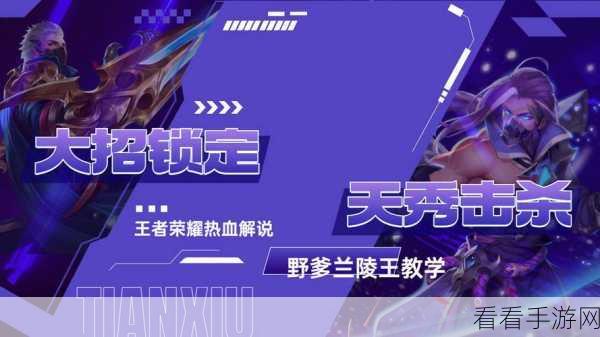 兰陵王荣耀登顶标获取秘籍，实战技巧与策略全解析