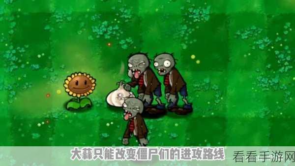 植物大战僵尸，解锁大蒜的无敌实战技巧